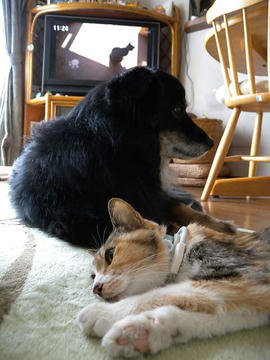 DSCN5684.jpg