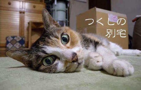 DSCN5687.jpg