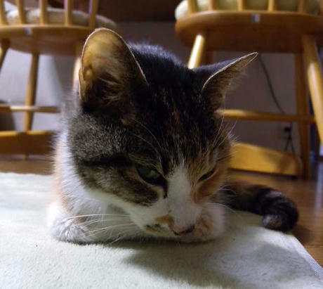 DSCN5693.jpg