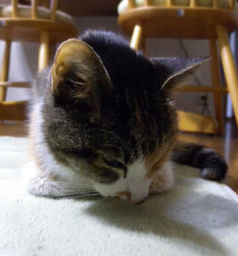 DSCN5695.jpg