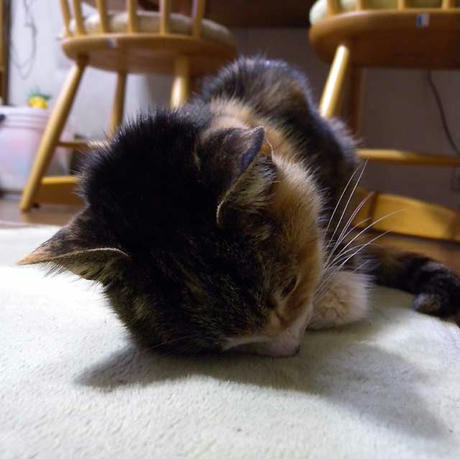 DSCN5697.jpg
