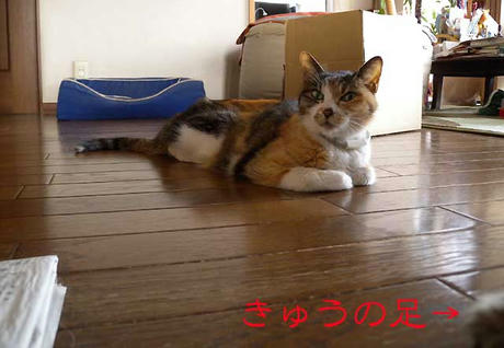 DSCN5708.jpg
