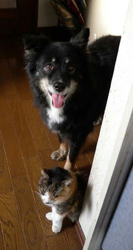 DSCN5710.jpg