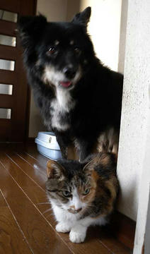 DSCN5713.jpg