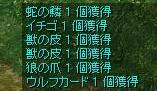 ウルフカード