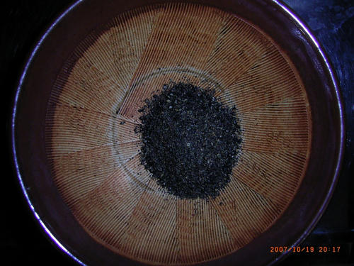sesame20071019_03.jpg