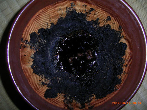 sesame20071019_06.jpg