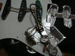DSC05317.JPG