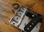 DSC08147.JPG