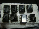 DSC08538.JPG