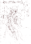 79533ac5.gif