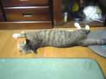 Arryノビ～