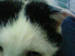 だから？（ＴＯＭＭＹ）