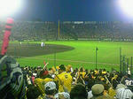 甲子園球場
