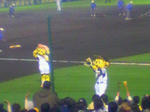 甲子園球場