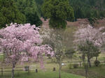 大野ダム公園