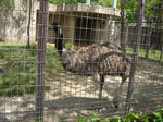 東山動植物園