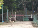 東山動植物園