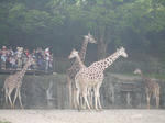 東山動植物園