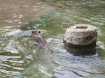 東山動植物園