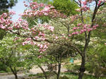 東山動植物園