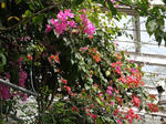 東山動植物園