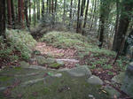 地元神社