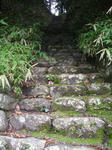 神社の石段