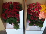 薔薇