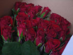 薔薇