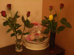薔薇