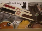 chat noir