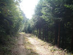 山道