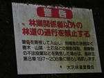 林道 奥新田線