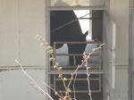 岐阜大学馬術部馬房