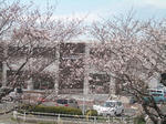 岐阜大学付属動物病院