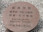 岐阜大学医学部記念植樹シデコブシ