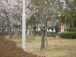 岐阜大学医学部看護学科前バス停