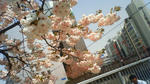 NEC_0122.JPG