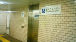 NEC_0128.jpg
