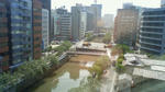 NEC_0147.jpg
