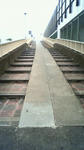 NEC_0177.JPG