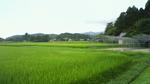 NEC_0253.JPG