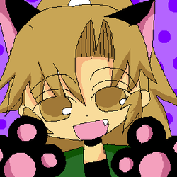244.png