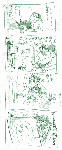 r25.gif