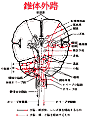 衰退外路