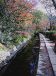 kyoto01.jpg