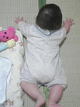 taru01.jpg