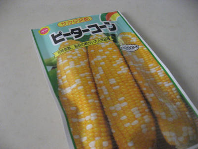 トウモロコシの種