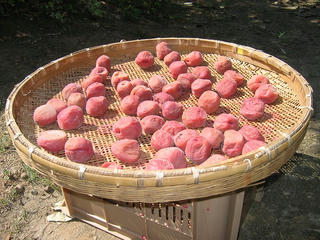 s-IMG_0083.jpg
